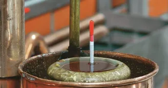 Vignoble Maxime PINARD