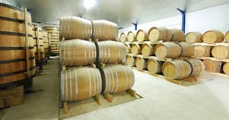 Vignoble Maxime PINARD