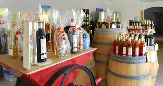 Vignoble Maxime PINARD