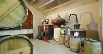 Vignoble Maxime PINARD