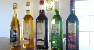 Vignoble Maxime PINARD