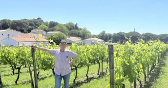 Le Domaine du Bourg Le Domaine du Bourg