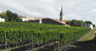 Le Domaine du Bourg Le Domaine du Bourg
