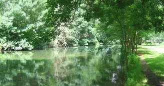 La Boutonne à Saint-Séverin