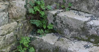 Doeuil sur le Mignon