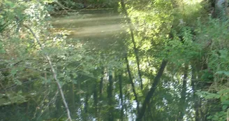 L'Antenne à Bagnizeau