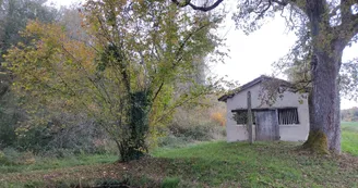 La fontaine de guérison