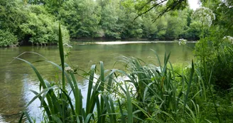 Vindelle village de Puant