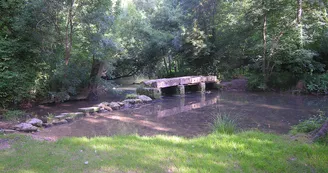 Circuit VTT Les boucles de la Seugne - N4 - Haute-Saintonge Jonzac Clion