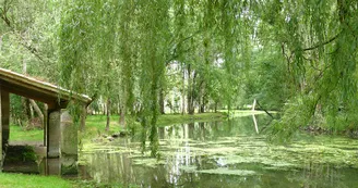 Circuit VTT Les boucles de la Seugne - N4 - Haute-Saintonge Jonzac Clion 3