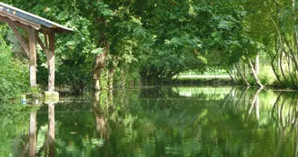 Circuit VTT Les boucles de la Seugne - N4 - Haute-Saintonge Jonzac Clion 6