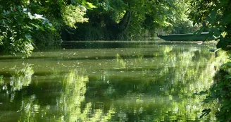 Circuit VTT Les boucles de la Seugne - N4 - Haute-Saintonge Jonzac Clion 10