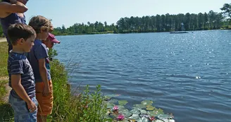 Circuit VTT N20 du lac Baron-Desqueyroux Montendre Chardes Vallet Pommiers 8