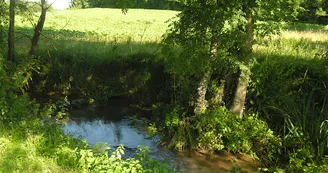 Circuit VTT N9 L etang d Allas-Bocage La Maine Guitinieres St Simon de Bordes 3