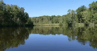 Circuit VTT Les Benissons N8 Soubran Boisredon tourbiere plantes carnivores