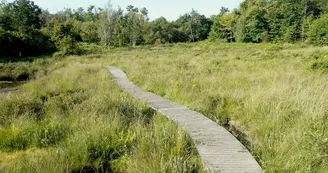 Circuit VTT Les Benissons N8 Soubran Boisredon tourbiere plantes carnivores 2