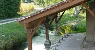 Circuit VTT Les circuits couverts et decouverts N6 St Ciers du Taillon 3