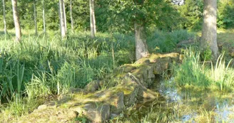 Circuit VTT De bois aux landes forestieres N12 Foret de la Lande gibier Seudre