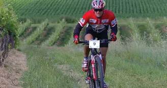 Circuit VTT Champagne sur la Voie Romaine N1 Haute-Saintonge Vignoble Cognac