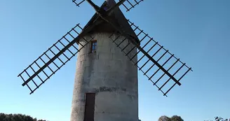 Circuit VTT Champagne sur la Voie Romaine N1 Haute-Saintonge Vignoble Cognac 2