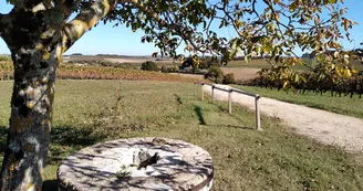 Circuit VTT Champagne sur la Voie Romaine N1 Haute-Saintonge Vignoble Cognac 3