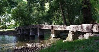 Circuit VTT N25 du Trefle Vignoble du Cognac voie romaine eglises romanes Nobla 5