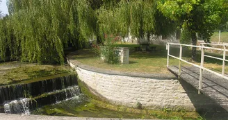 Circuit VTT N25 du Trefle Vignoble du Cognac voie romaine eglises romanes Nobla 12