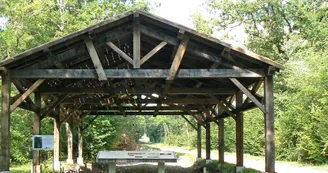 Circuit VTT N25 du Trefle Vignoble du Cognac voie romaine eglises romanes Nobla 3