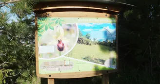 Circuit VTT N25 du Trefle Vignoble du Cognac voie romaine eglises romanes Nobla 13