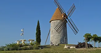 Circuit VTT des distilleries N18 Archiac Vignoble du Cognac Lonzac vignes 3