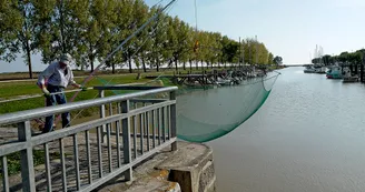 Circuit VTT La tour de Beaumont N15 St-Fort-sur-Gironde estuaire 3