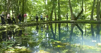 Circuit VTT La tour de Beaumont N15 St-Fort-sur-Gironde estuaire 8