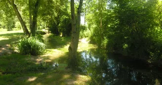 Circuit pedestre Les Moulins N5 Meux Haute-Saintonge 2