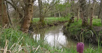 Circuit pedestre La Vallee du Lary N25 Chevanceaux Haute-Saintonge
