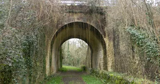 Circuit pedestre La foret de chataigniers N29 St-Palais-de-Negrignac