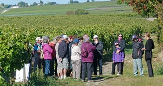 Circuit pedestre Les Merles 3 Reaux-sur-Trefle Haute-Saintonge