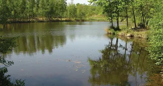 Circuit pedestre Les Benissons N13a Soubran Haute-Saintonge