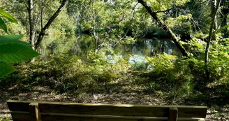 Circuit pedestre Les Benissons N13a Soubran Haute-Saintonge 5