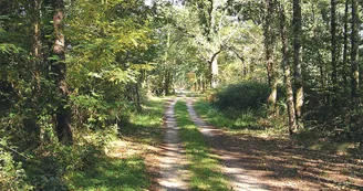 Circuit pedestre Pas de Turia N15a Boisredon Haute-Saintonge