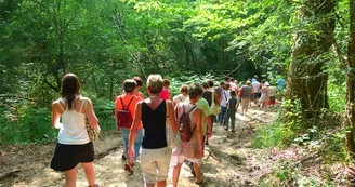 Circuit pedestre Foret de la Lande N16 Plassac Haute-Saintonge