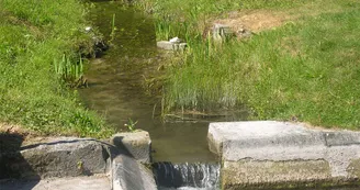 Moulin Enrage Cierzac vallee du Ne Vignoble du Cognac Haute-Saintonge ruisseau 2
