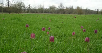 Circuit Les Moulins N24a Leoville Haute-Saintonge 2
