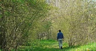Circuit Les Moulins N24a Leoville Haute-Saintonge 3