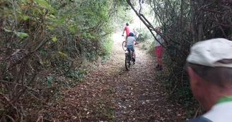 Circuit VTT N25 du Trefle Vignoble du Cognac voie romaine eglises romanes Nobla 28