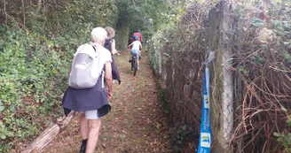 Circuit VTT N25 du Trefle Vignoble du Cognac voie romaine eglises romanes Nobla 29