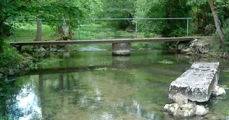 Passage à gué - Mouton