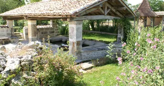 Circuit VTC N12 Coulonges vignes Petite Champagne 2 Vignoble du Cognac