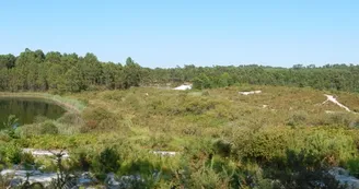 Sentier de randonnée des carrières de Touvérac_Touvérac