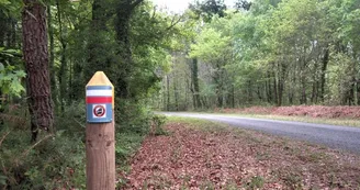 Circuit pédestre Mémorial - Le Frankton_Souméras