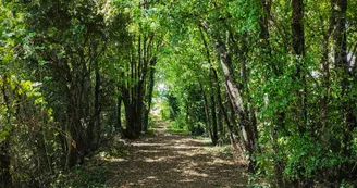 Sentier de Bois Breuillac - Villefagnan_Villefagnan